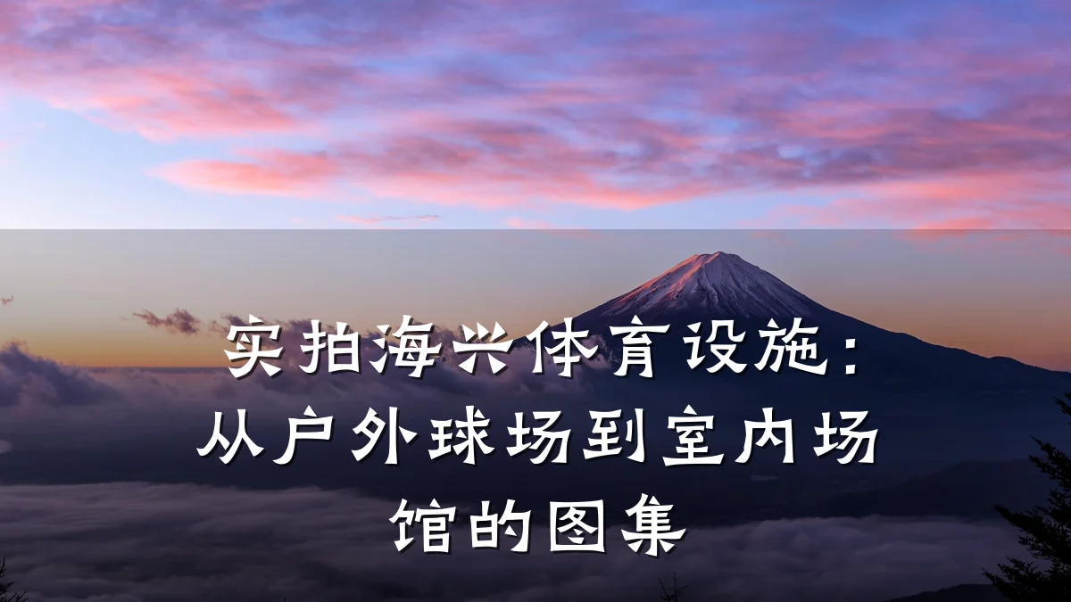 实拍海兴体育设施:从户外球场到室内场馆的图集