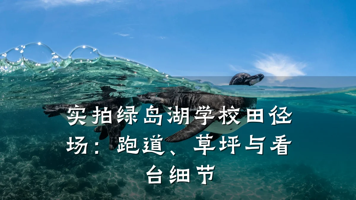 实拍绿岛湖学校田径场:跑道、草坪与看台细节