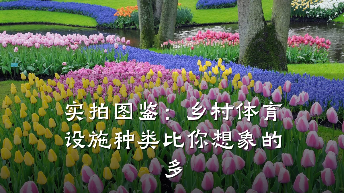 实拍图鉴:乡村体育设施种类比你想象的多
