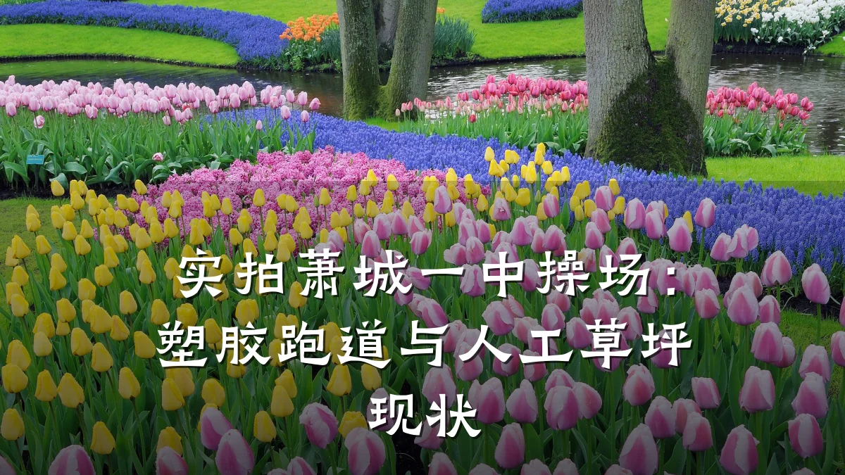 实拍萧城一中操场:塑胶跑道与人工草坪现状