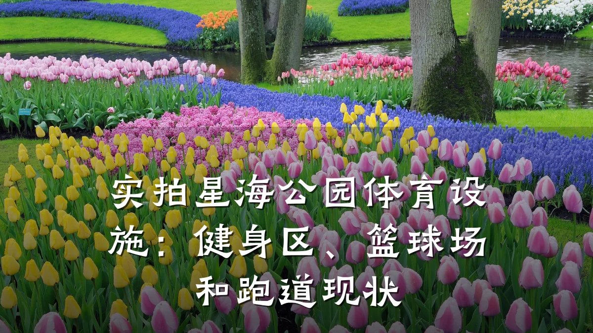 实拍星海公园体育设施:健身区、篮球场和跑道现状