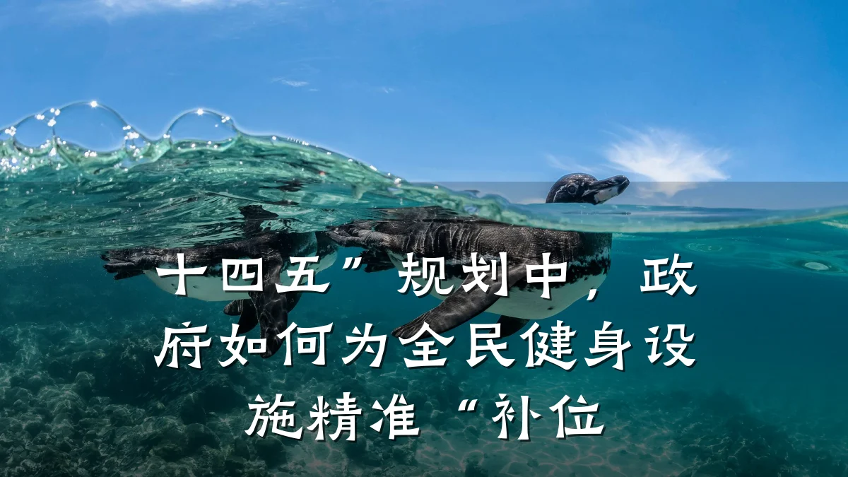 十四五”规划中,政府如何为全民健身设施精准“补位