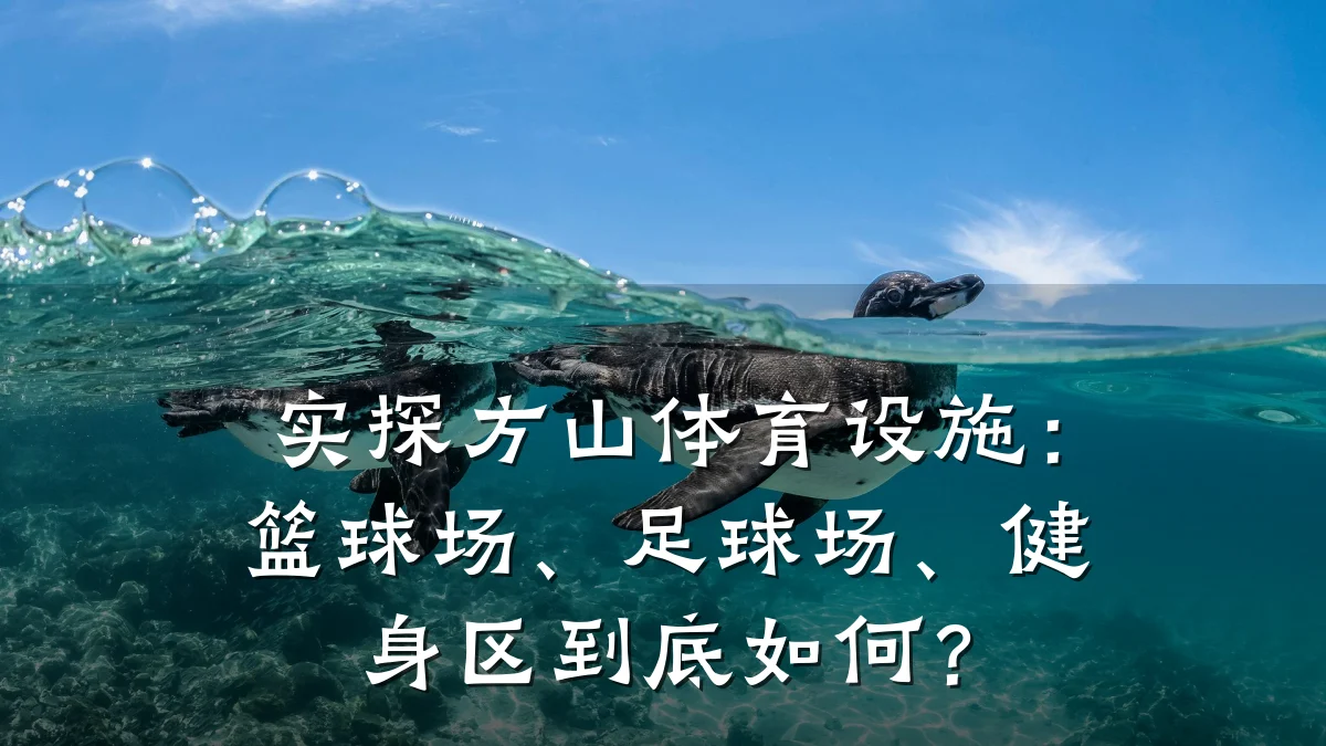 实探方山体育设施:篮球场、足球场、健身区到底如何?