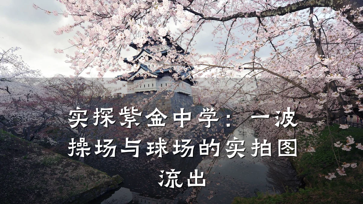 实探紫金中学:一波操场与球场的实拍图流出