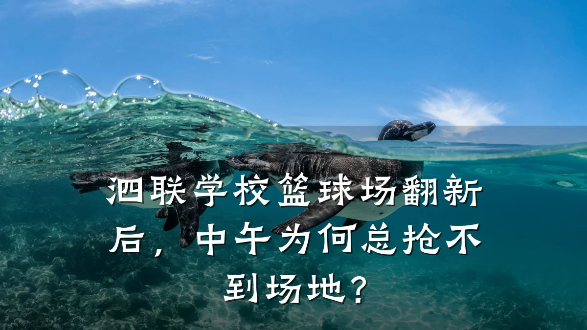 泗联学校篮球场翻新后,中午为何总抢不到场地?