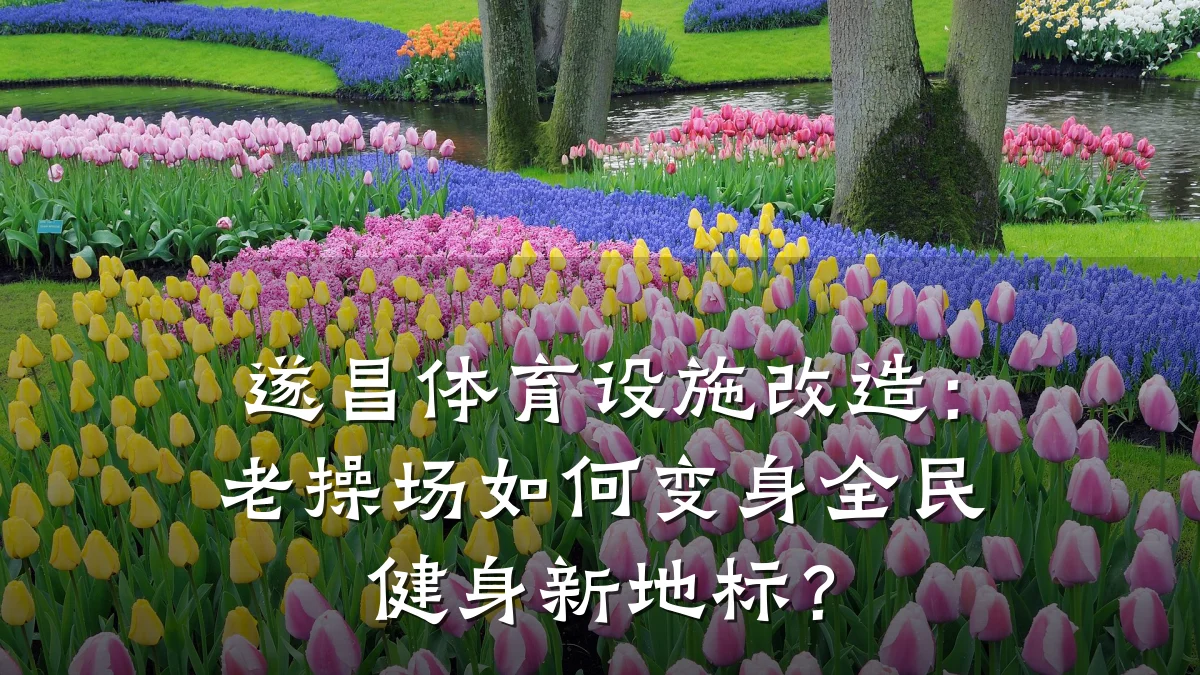 遂昌体育设施改造：老操场如何变身全民健身新地标？