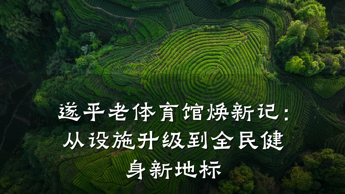遂平老体育馆焕新记：从设施升级到全民健身新地标