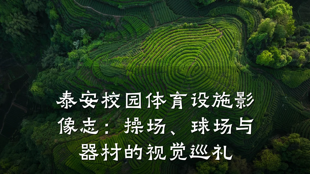 泰安校园体育设施影像志:操场、球场与器材的视觉巡礼