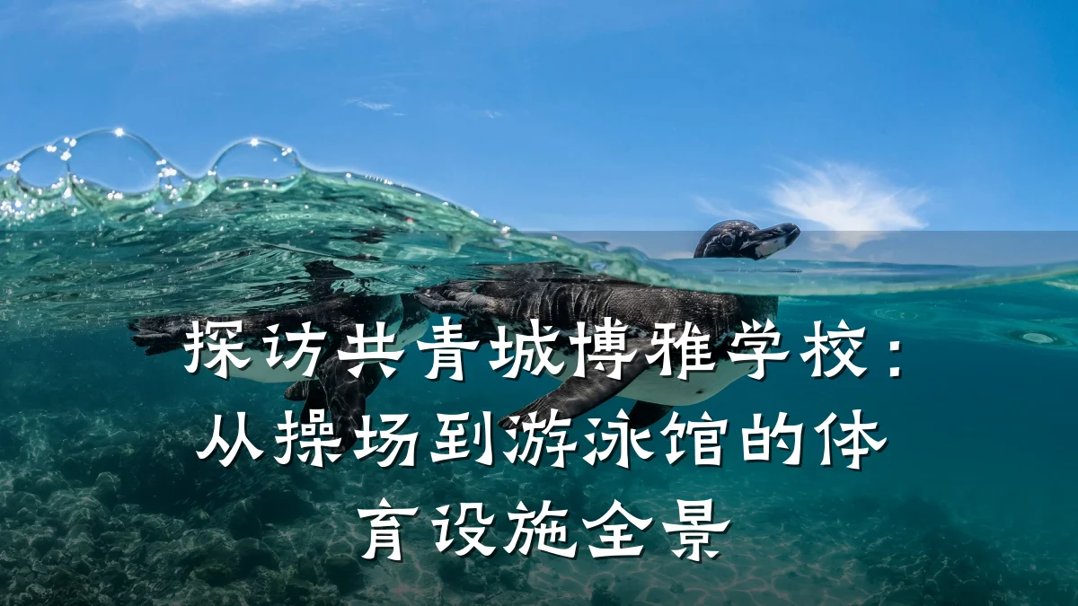 探访共青城博雅学校:从操场到游泳馆的体育设施全景