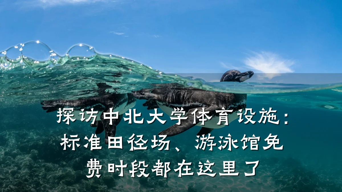 探访中北大学体育设施:标准田径场、游泳馆免费时段都在这里了