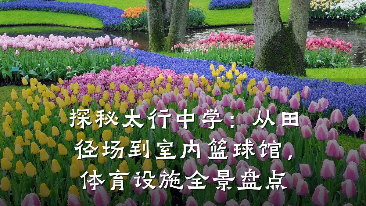 探秘太行中学：从田径场到室内篮球馆，体育设施全景盘点