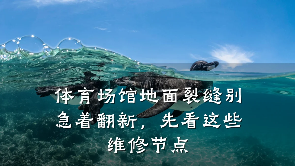 体育场馆地面裂缝别急着翻新,先看这些维修节点