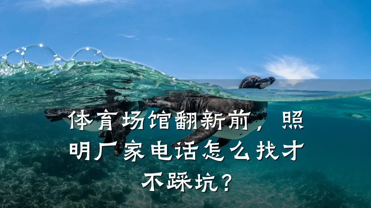 体育场馆翻新前,照明厂家电话怎么找才不踩坑?