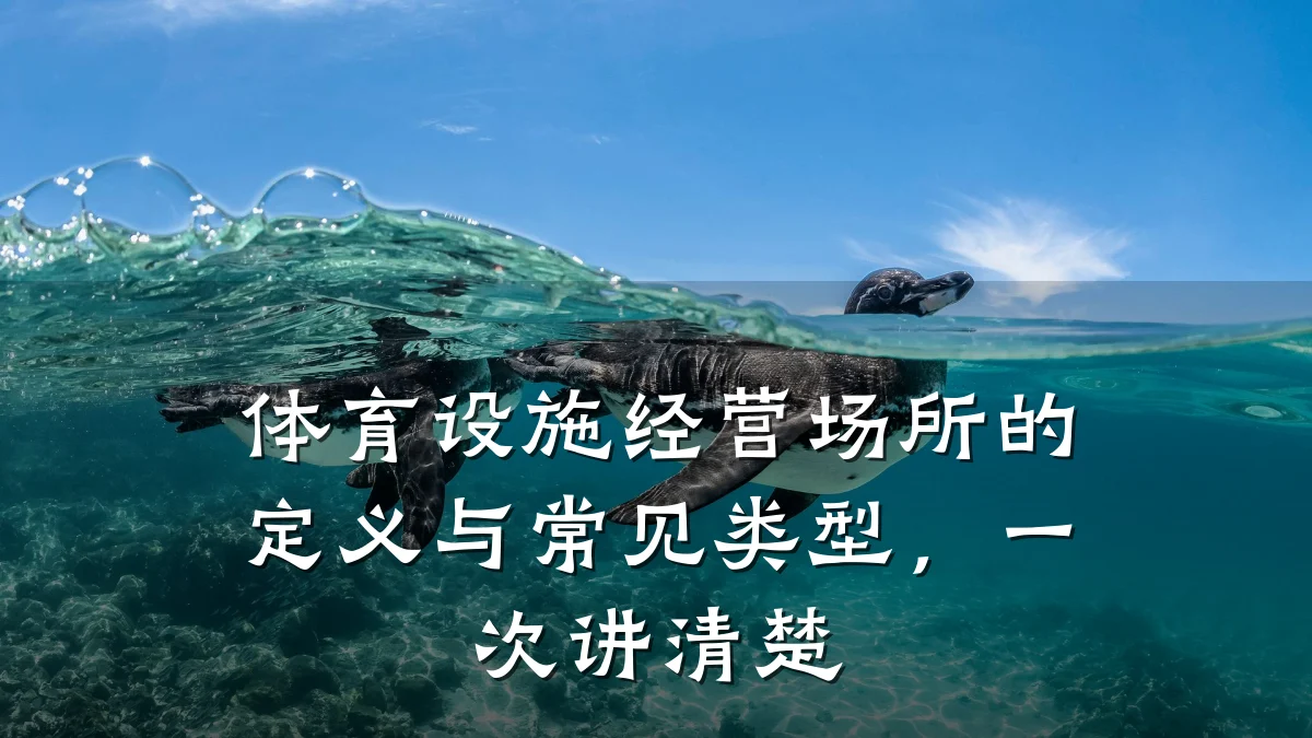 体育设施经营场所的定义与常见类型,一次讲清楚