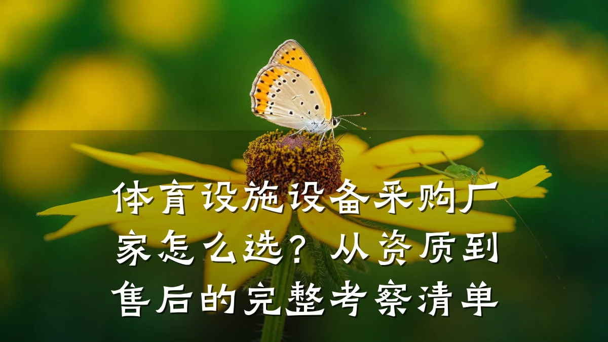 体育设施设备采购厂家怎么选?从资质到售后的完整考察清单