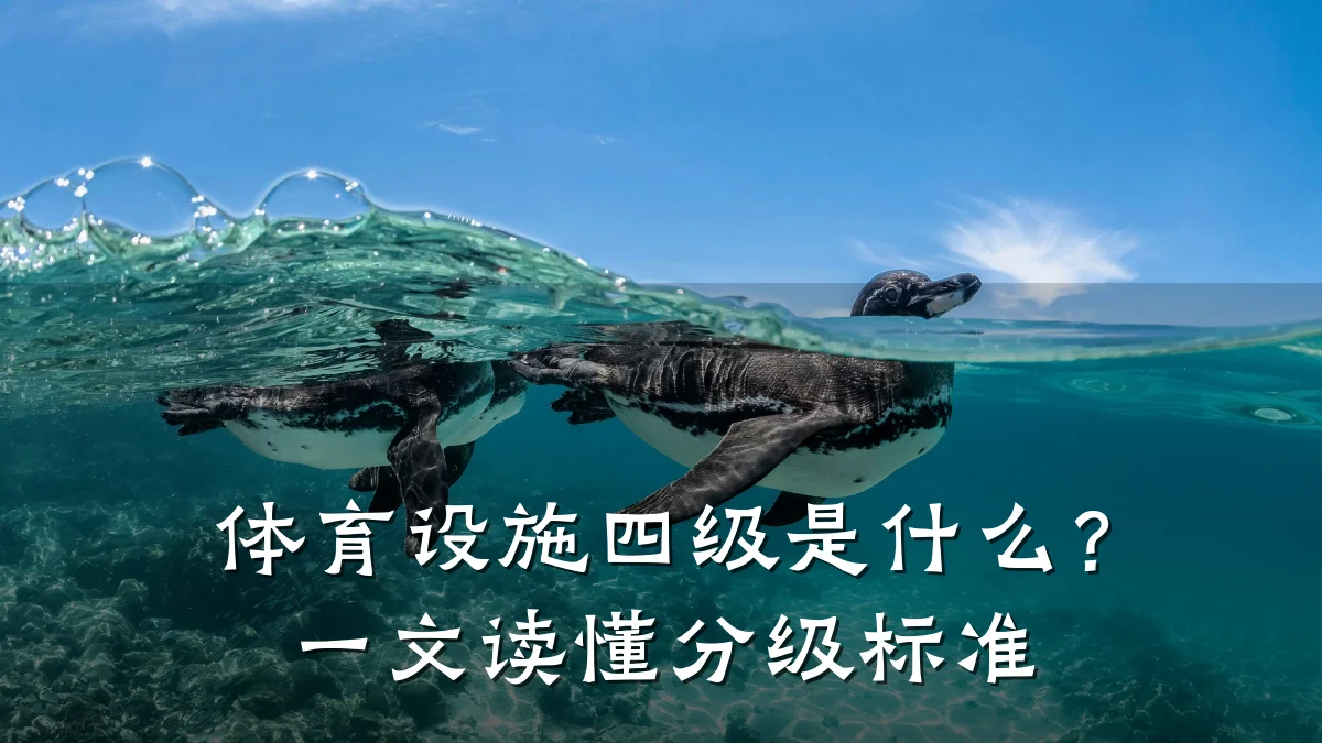 体育设施四级是什么？一文读懂分级标准