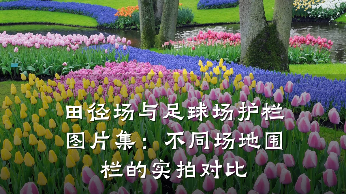 田径场与足球场护栏图片集:不同场地围栏的实拍对比