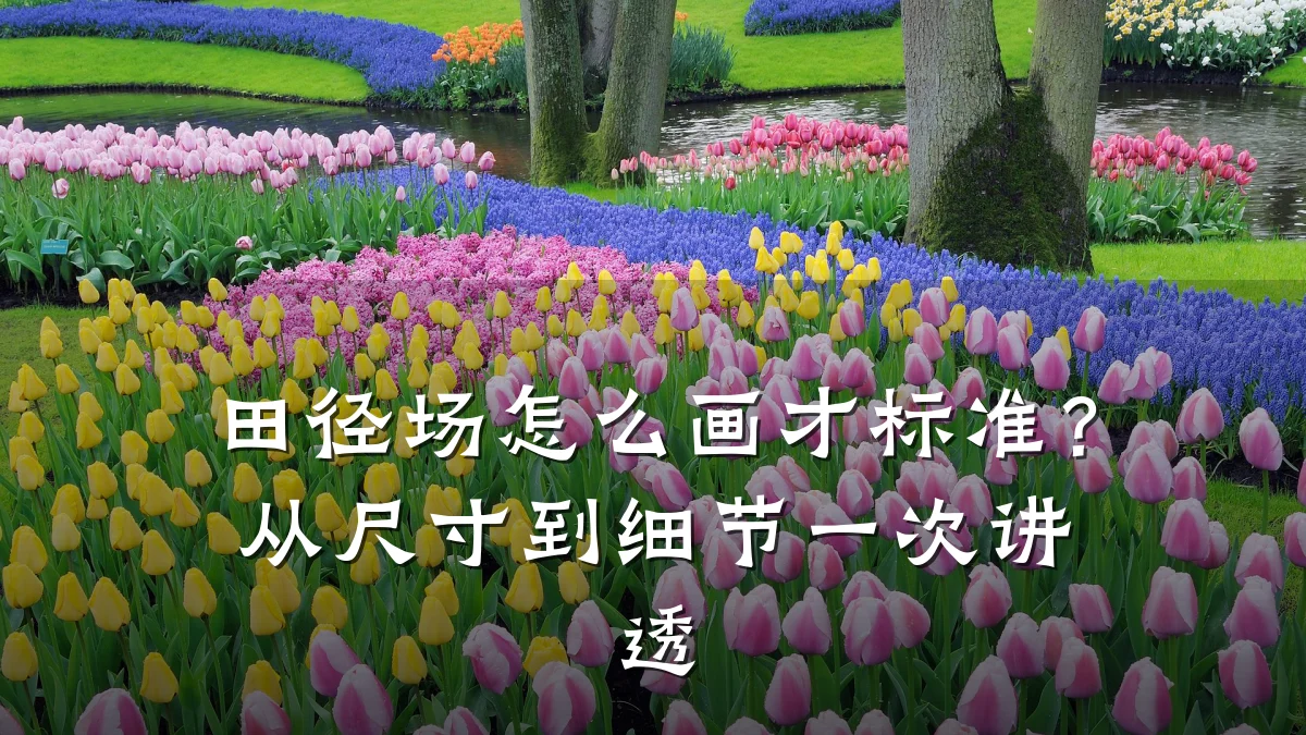 田径场怎么画才标准?从尺寸到细节一次讲透