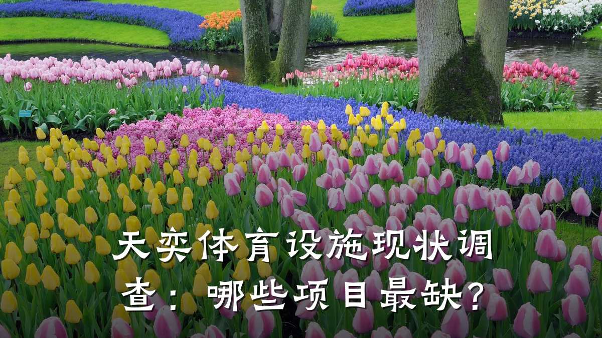 天奕体育设施现状调查:哪些项目最缺?