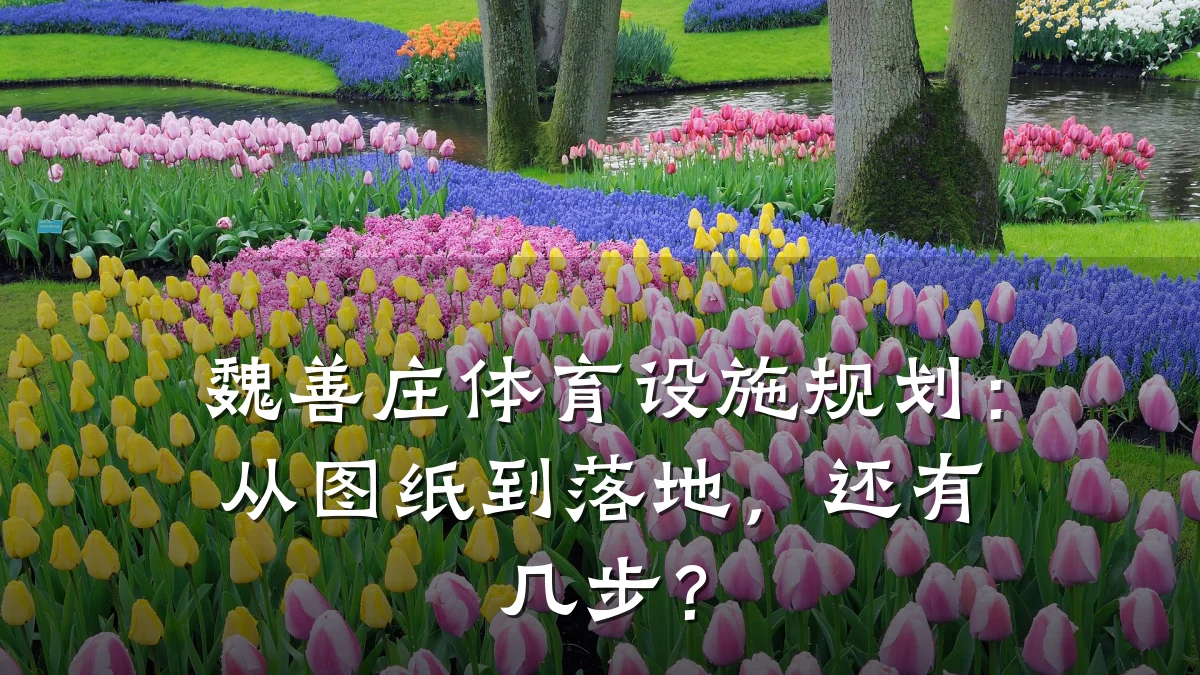 魏善庄体育设施规划:从图纸到落地,还有几步?