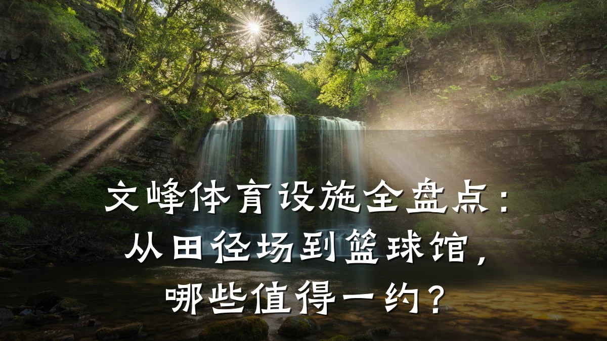 文峰体育设施全盘点:从田径场到篮球馆,哪些值得一约?