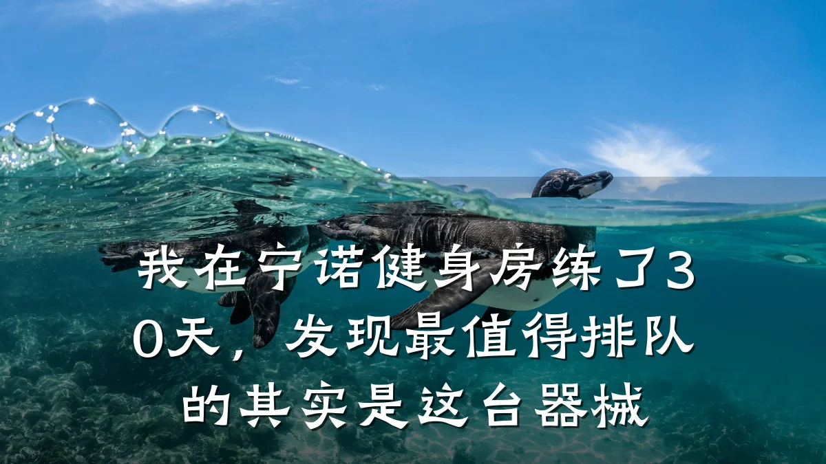 我在宁诺健身房练了30天,发现最值得排队的其实是这台器械