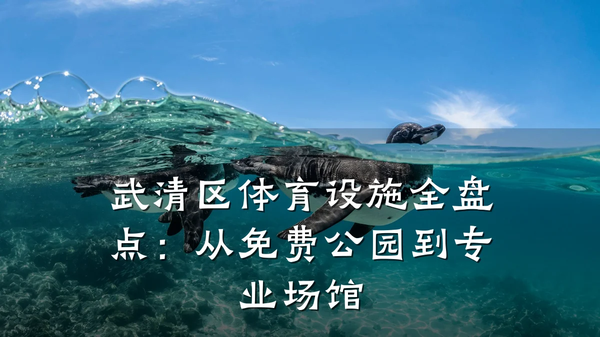 武清区体育设施全盘点:从免费公园到专业场馆