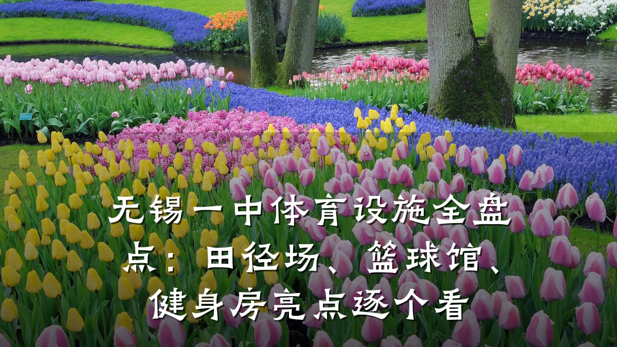 无锡一中体育设施全盘点：田径场、篮球馆、健身房亮点逐个看