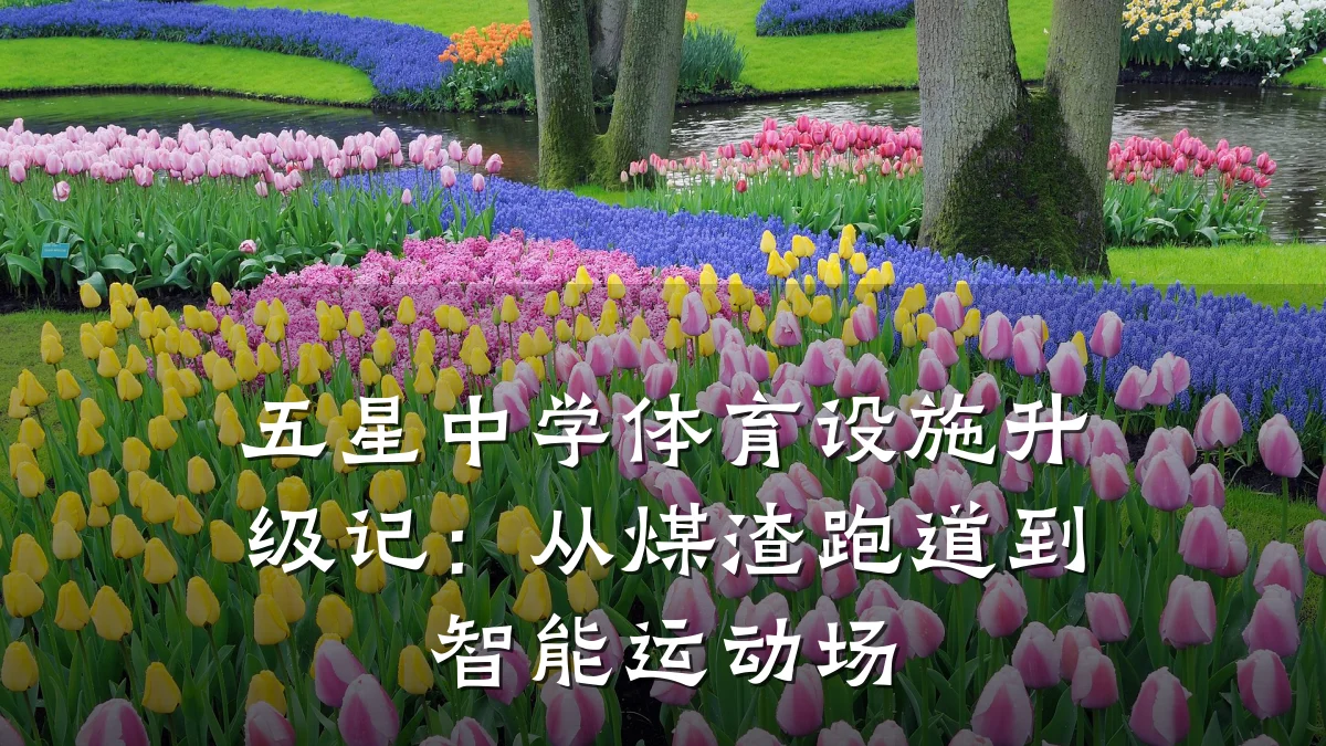 五星中学体育设施升级记:从煤渣跑道到智能运动场