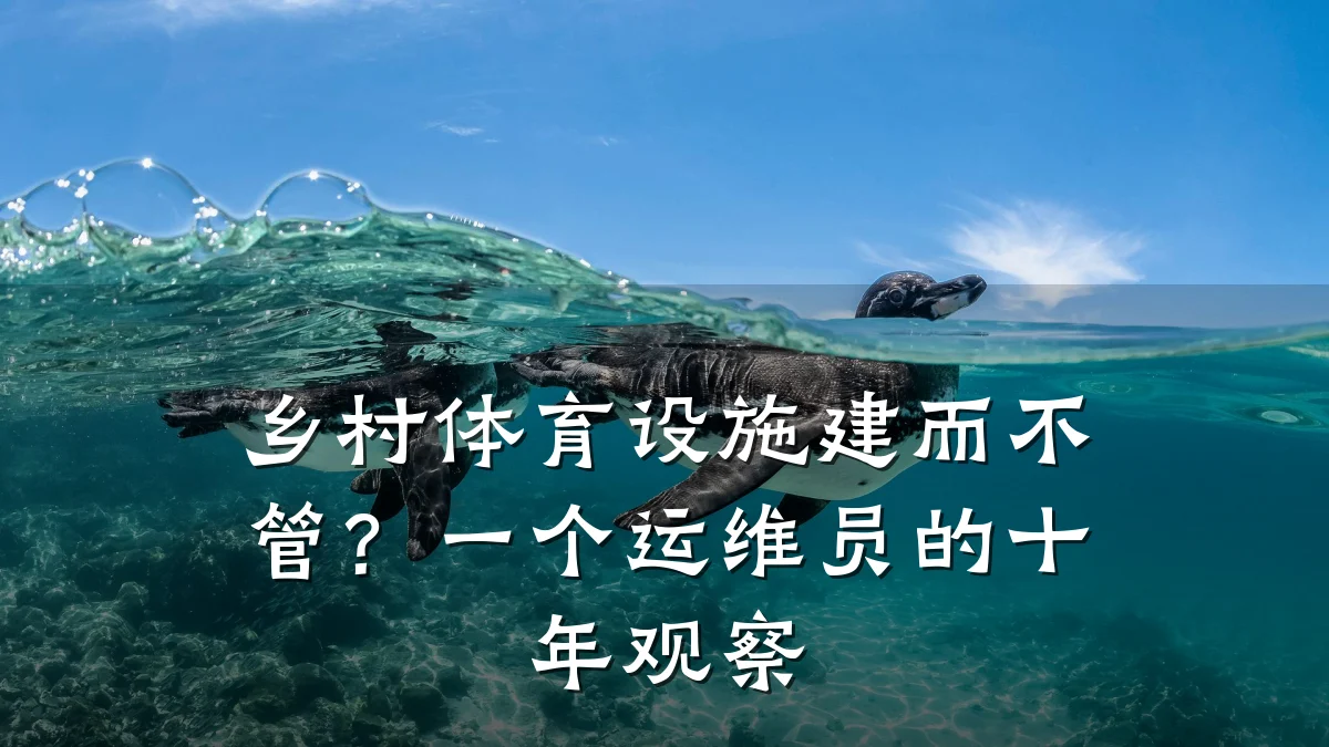 乡村体育设施建而不管?一个运维员的十年观察