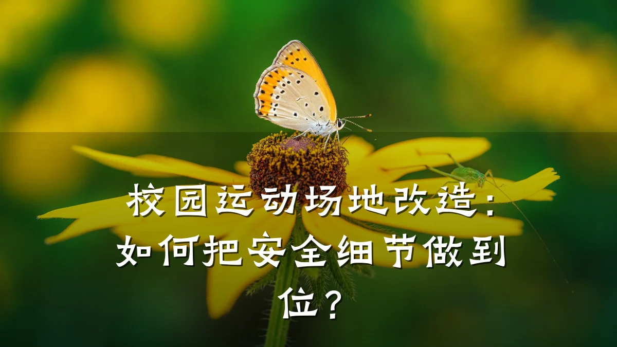 校园运动场地改造：如何把安全细节做到位？