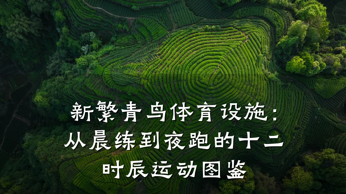 新繁青鸟体育设施:从晨练到夜跑的十二时辰运动图鉴