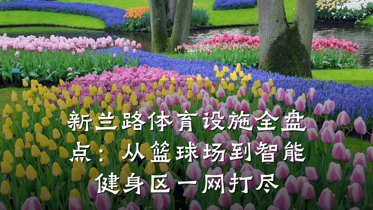 新兰路体育设施全盘点:从篮球场到智能健身区一网打尽