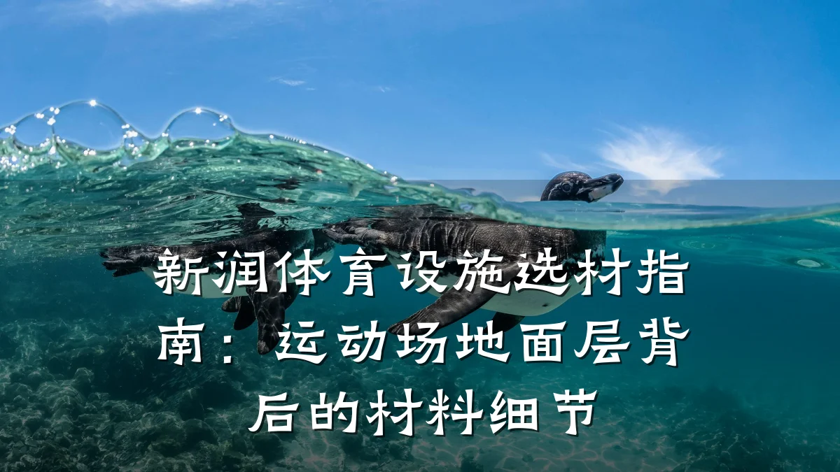 新润体育设施选材指南：运动场地面层背后的材料细节