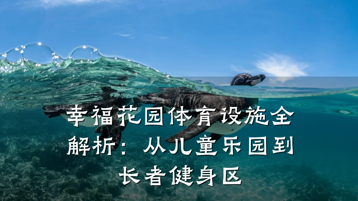 幸福花园体育设施全解析:从儿童乐园到长者健身区