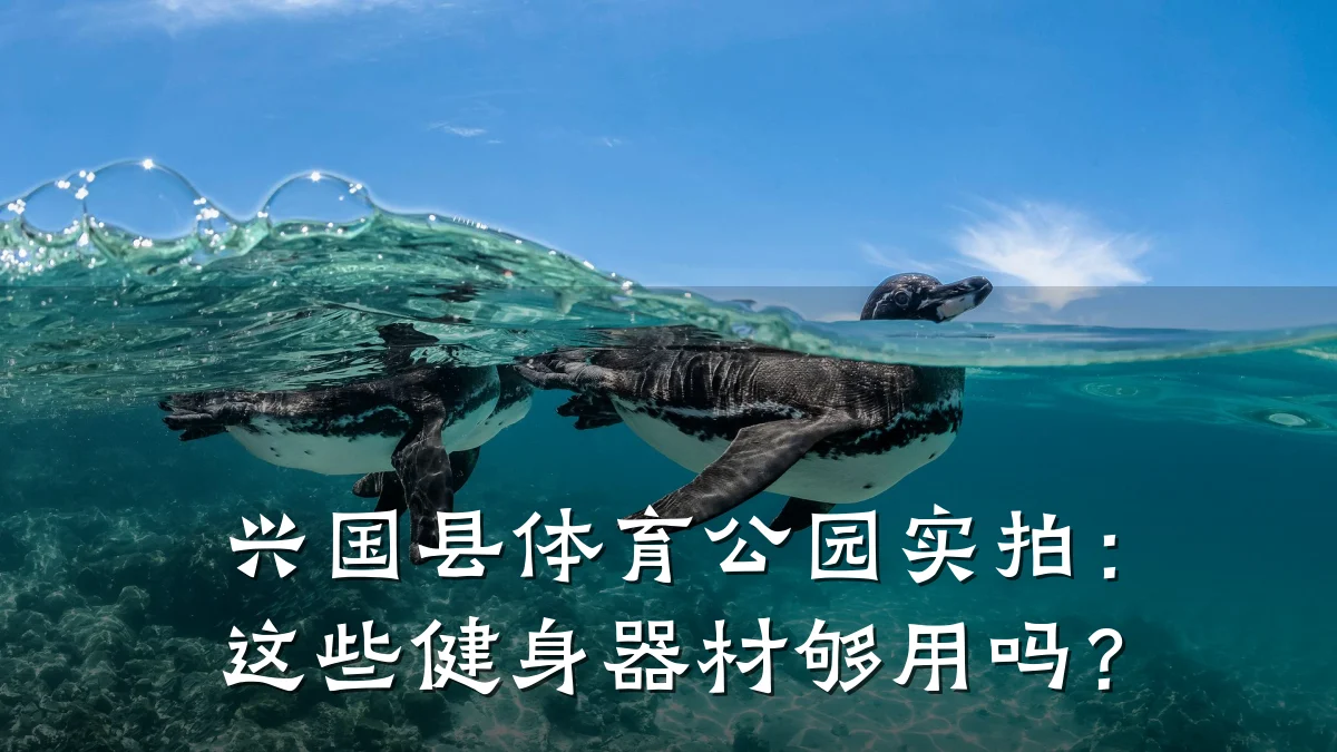 兴国县体育公园实拍：这些健身器材够用吗？