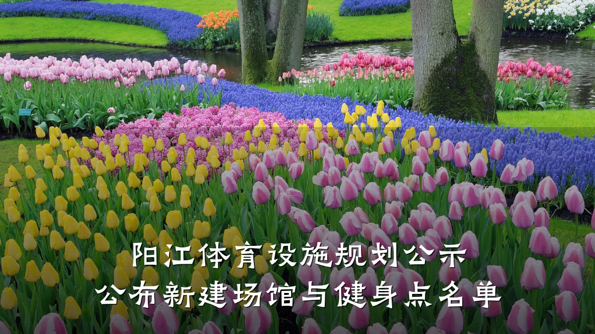 阳江体育设施规划公示 公布新建场馆与健身点名单