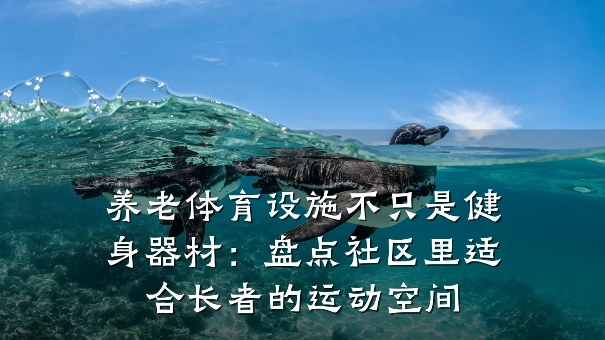 养老体育设施不只是健身器材:盘点社区里适合长者的运动空间