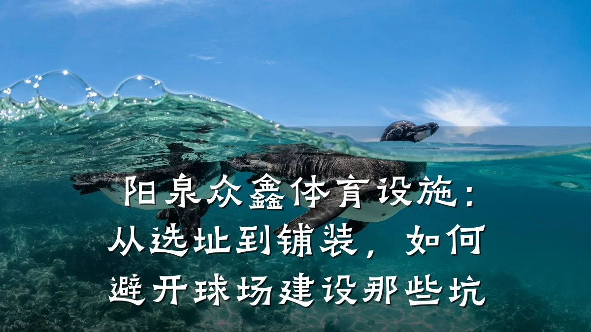 阳泉众鑫体育设施：从选址到铺装，如何避开球场建设那些坑