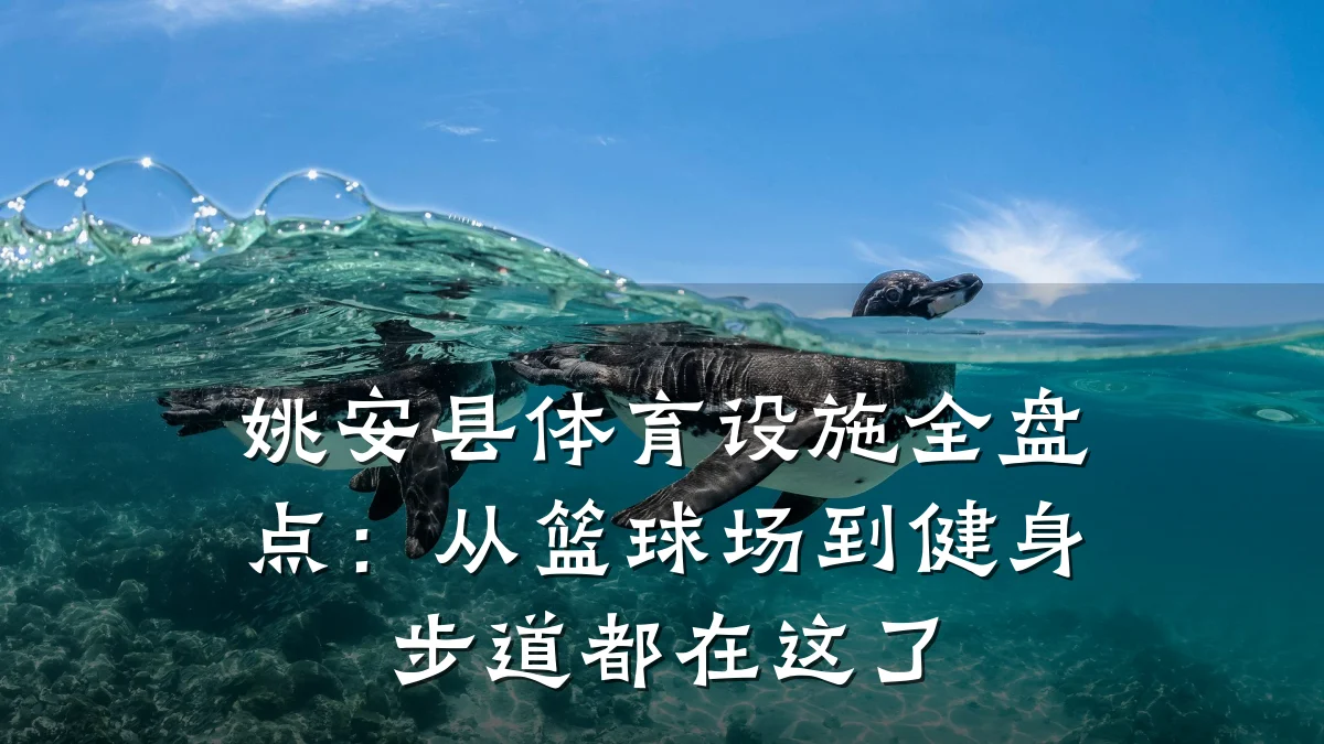 姚安县体育设施全盘点:从篮球场到健身步道都在这了