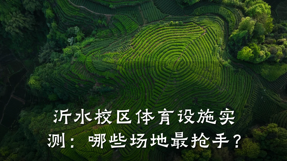 沂水校区体育设施实测:哪些场地最抢手?