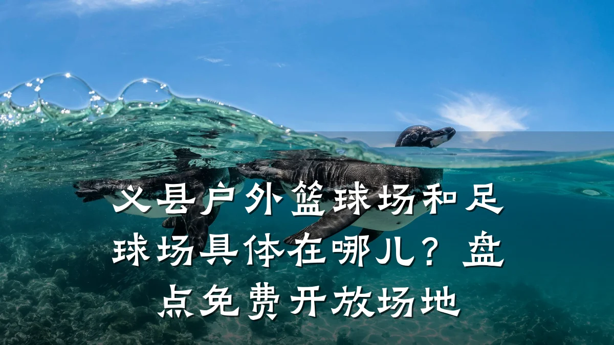 义县户外篮球场和足球场具体在哪儿?盘点免费开放场地