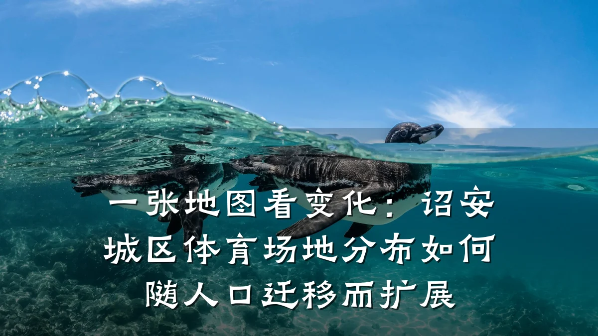 一张地图看变化:诏安城区体育场地分布如何随人口迁移而扩展