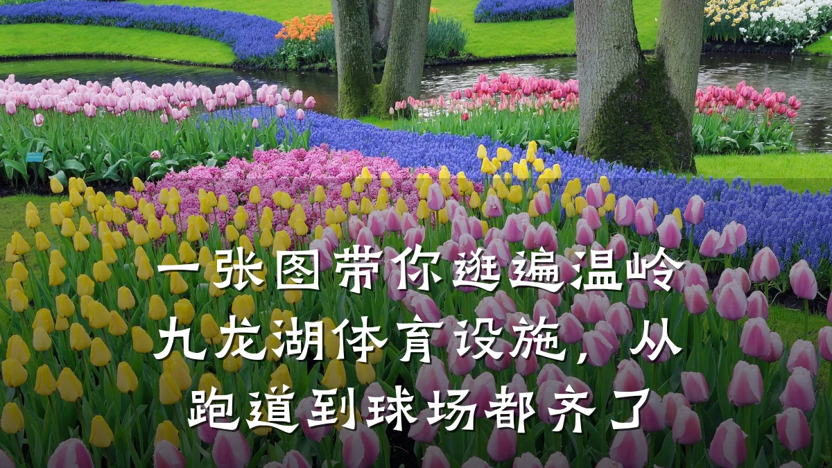 一张图带你逛遍温岭九龙湖体育设施,从跑道到球场都齐了