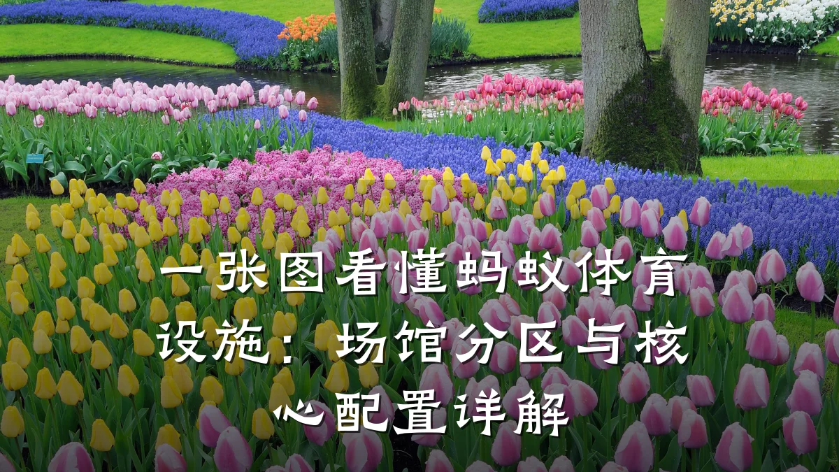 一张图看懂蚂蚁体育设施：场馆分区与核心配置详解