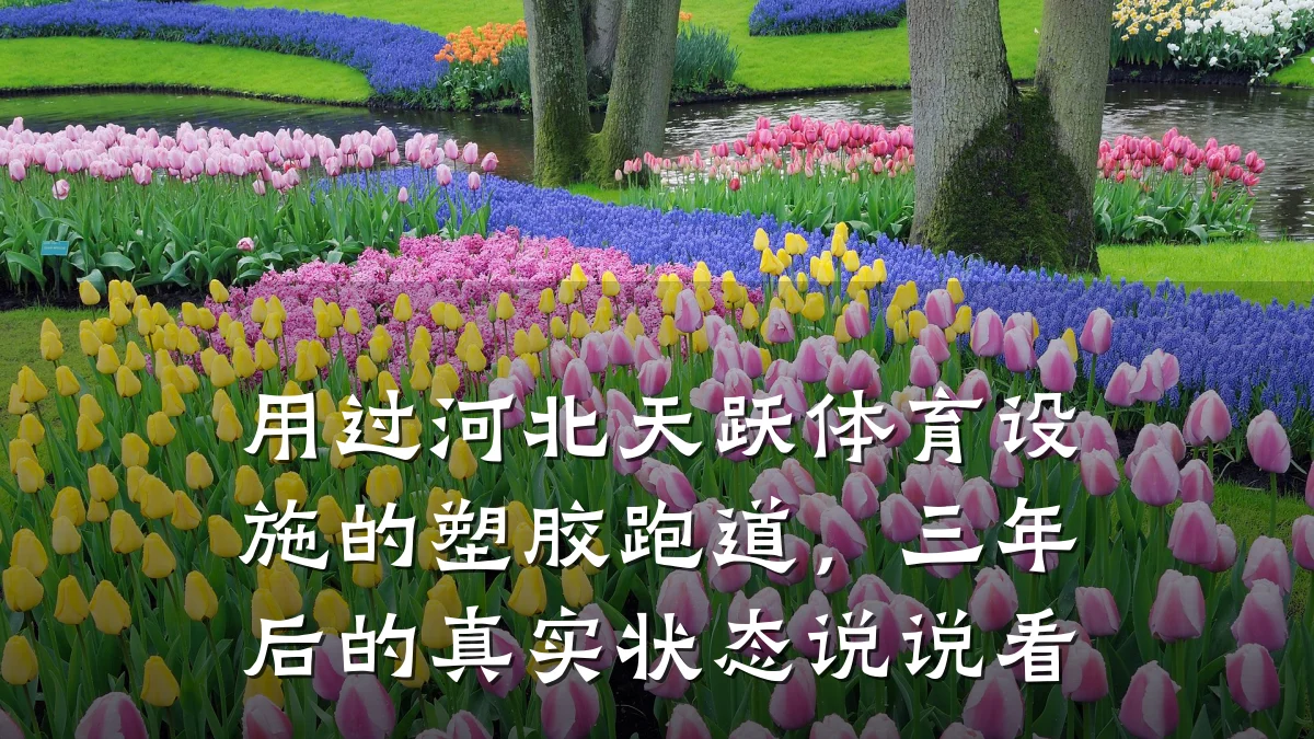 用过河北天跃体育设施的塑胶跑道,三年后的真实状态说说看