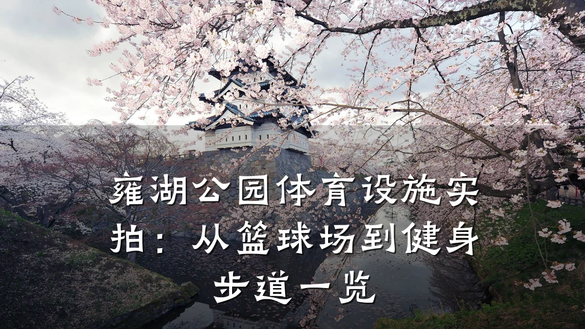 雍湖公园体育设施实拍:从篮球场到健身步道一览