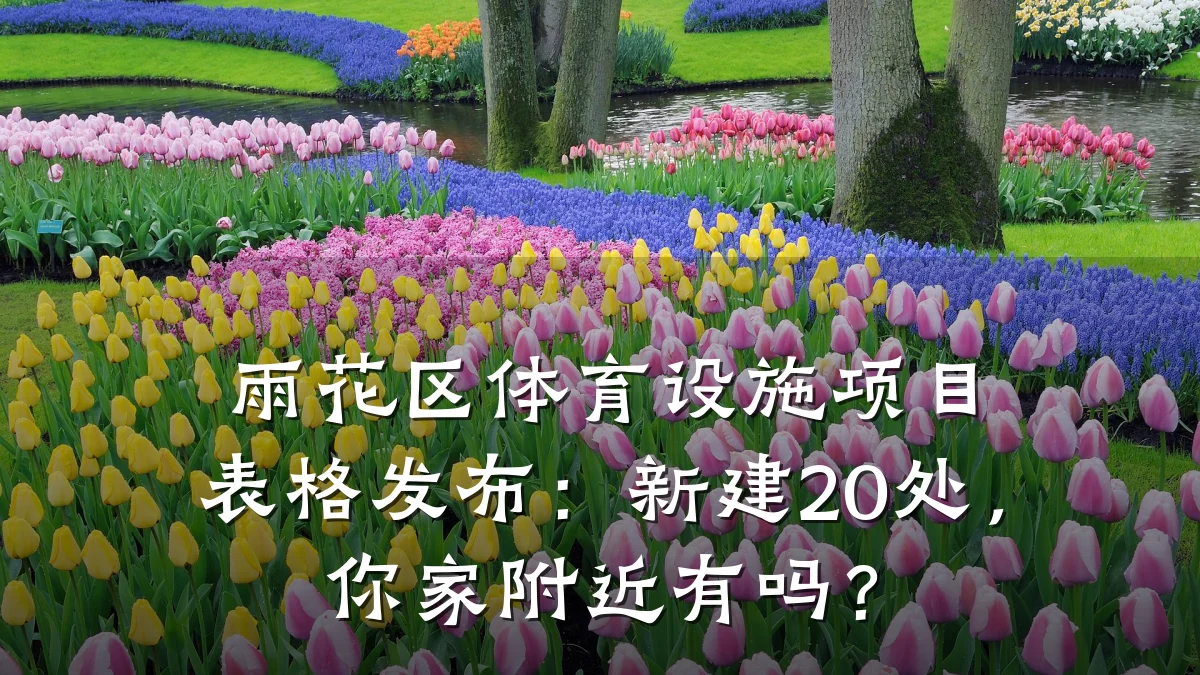 雨花区体育设施项目表格发布:新建20处,你家附近有吗?
