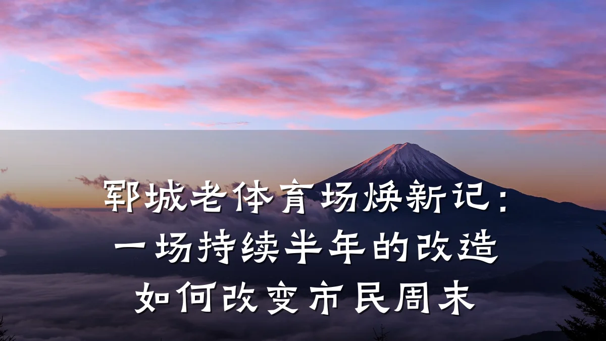 郓城老体育场焕新记:一场持续半年的改造如何改变市民周末