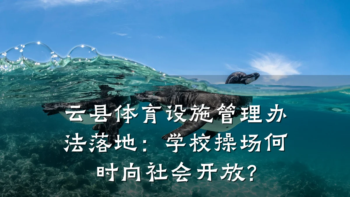 云县体育设施管理办法落地:学校操场何时向社会开放?